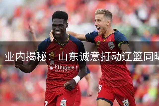 业内揭秘：山东诚意打动辽篮同曦 三方配合促成王岚嵚转会